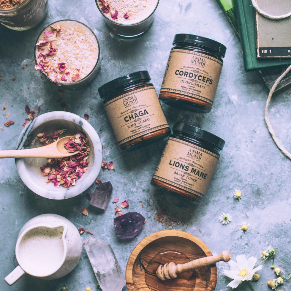 apothecary