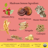 mushroom immune tonic