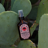 desert rain creosote oil